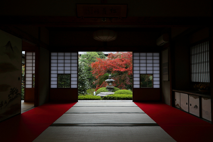 紅葉の泉涌寺 －雲龍院（前編）－_b0169330_21523856.jpg