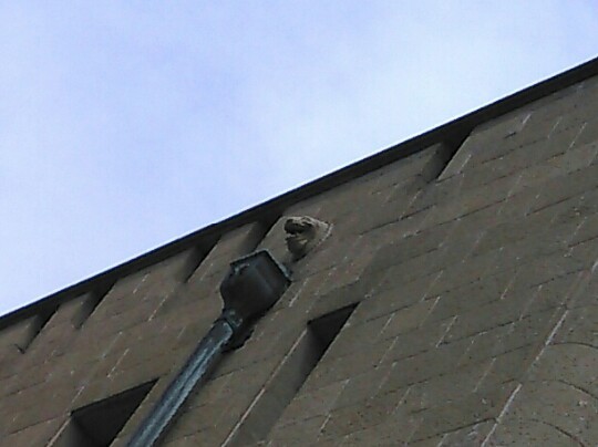 c0337631_00590138.png