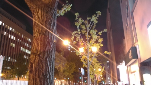 c0337631_01300942.jpg