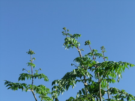 b0137932_16031385.jpg