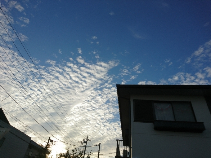 e0166032_16490998.jpg