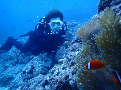 11月3日連休初日は良い天気・良い海_c0070933_22475408.jpg