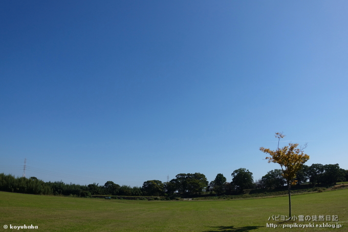 d0140234_11014620.jpg