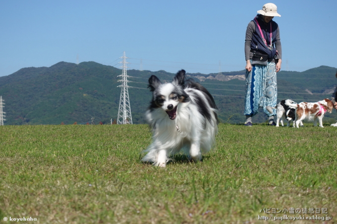 ＬｕＬｕ　Ｄａｙ　－空が青かった♪－_d0140234_11215031.jpg