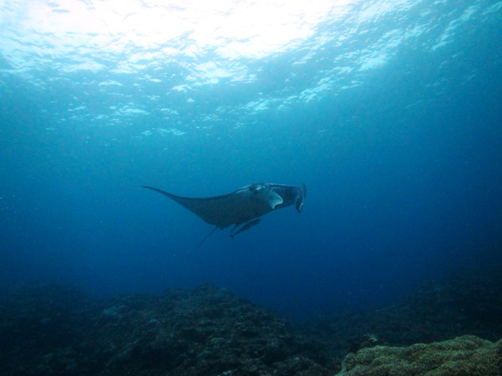 a0189838_23452128.jpg