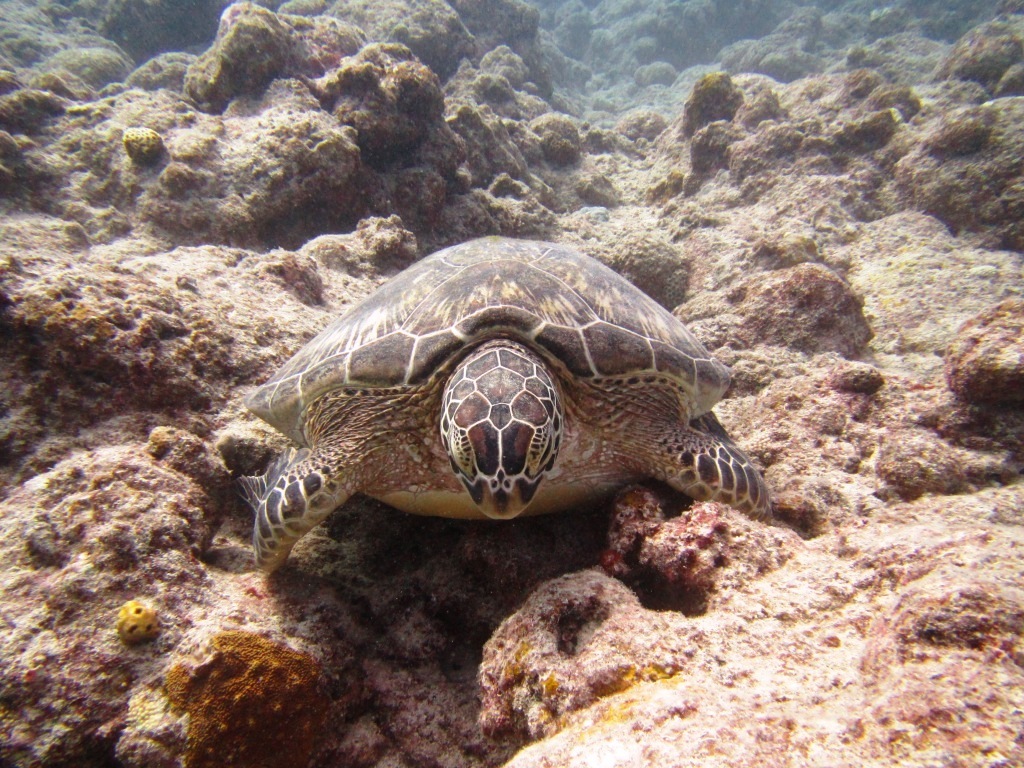 a0189838_23493520.jpg