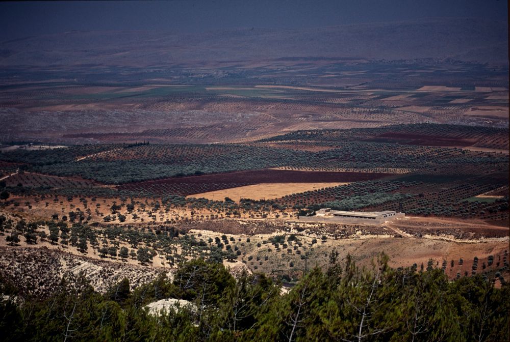 番外篇　＊　愛しのシリア Syria1990　第3回_a0215638_13443884.jpg