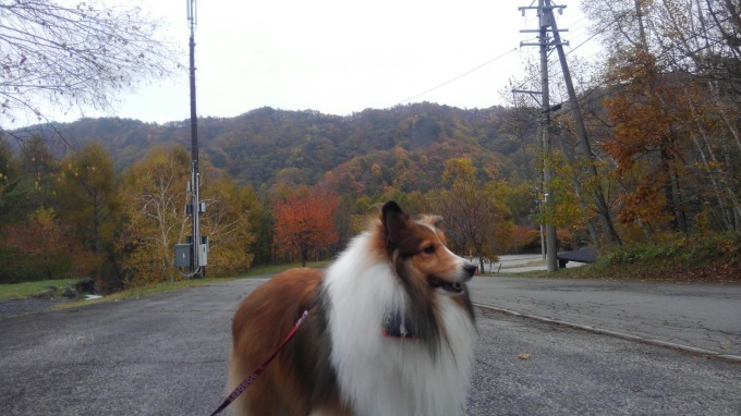 f0210439_02445092.jpg