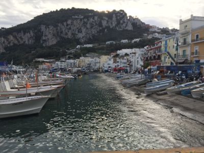 d0136540_05581884.jpg