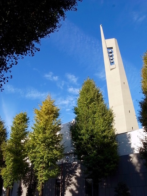 d0350542_13403857.jpg