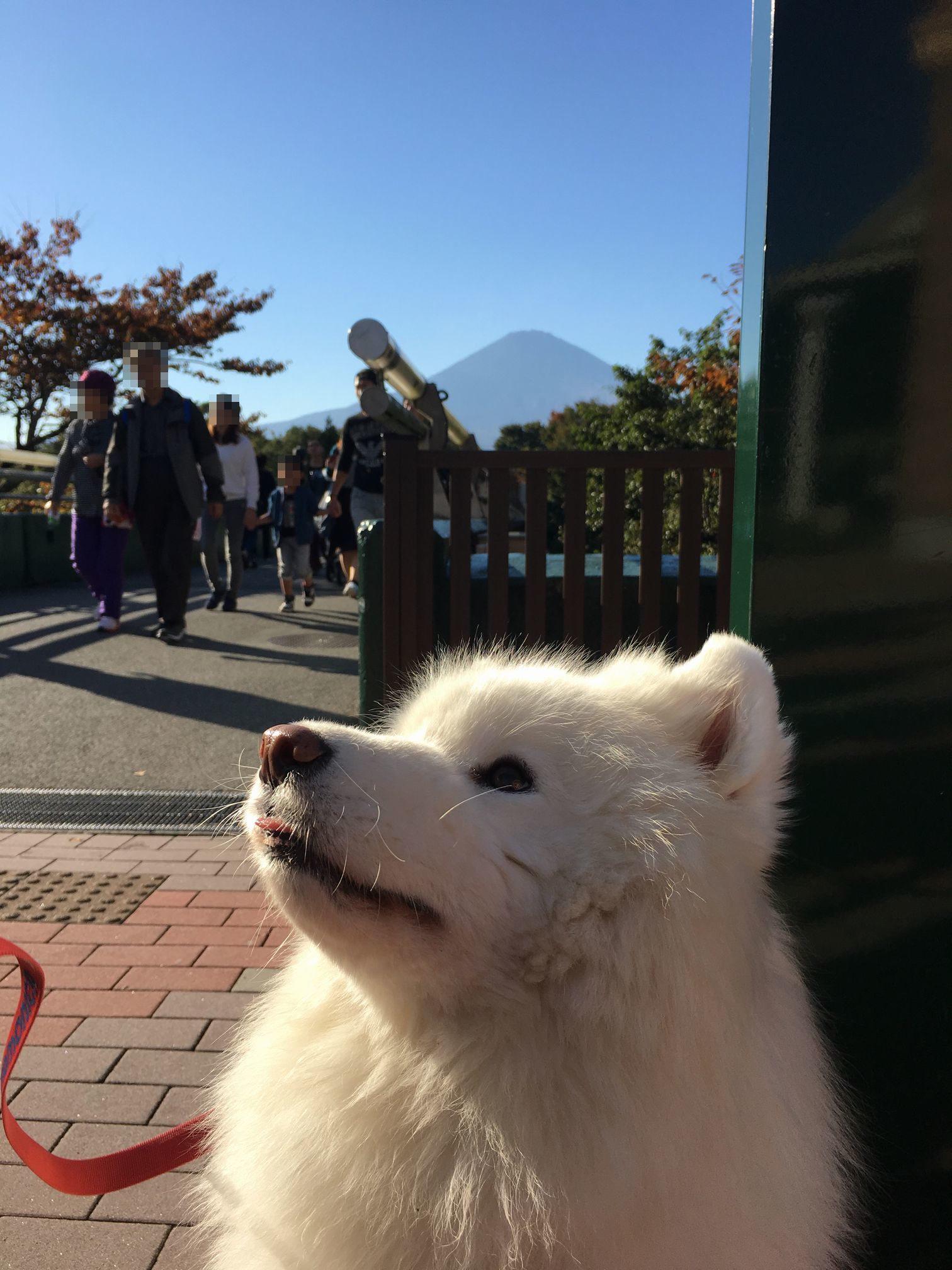 んまいもんシリーズ 2017年秋 伊豆旅行編_f0128542_01380537.jpg