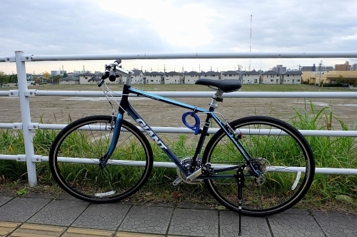 調和_b0314043_06575836.jpg