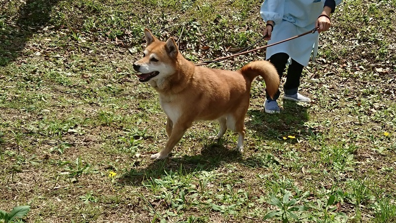 e0349048_08153055.jpg
