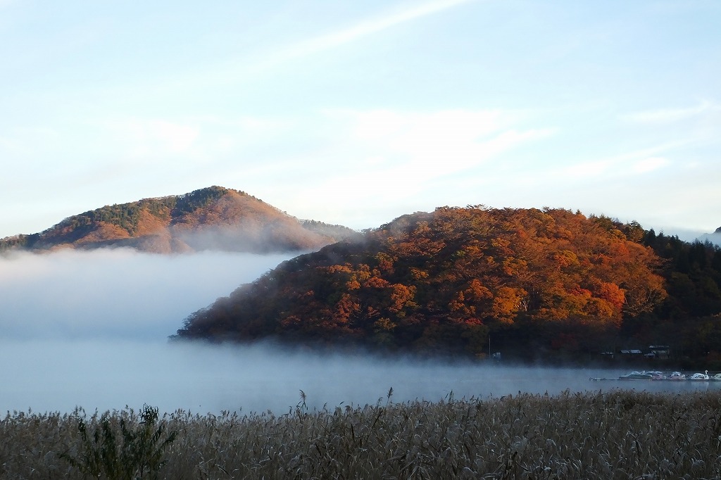 榛名湖の朝景色　（11月１日）_b0236251_11000035.jpg