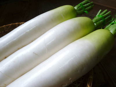 お待たせしました!長尾ブランドの新鮮野菜!朝採り大根(葉付、葉切り)販売スタート!!_a0254656_17124797.jpg