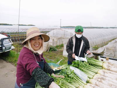 お待たせしました!長尾ブランドの新鮮野菜!朝採り大根(葉付、葉切り)販売スタート!!_a0254656_17534716.jpg