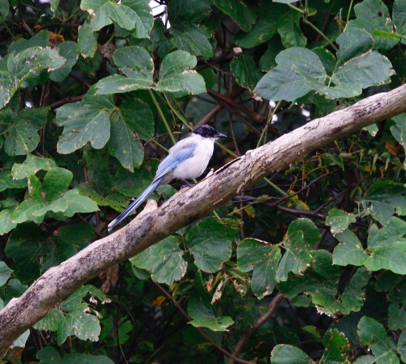 a0248459_16083569.jpg
