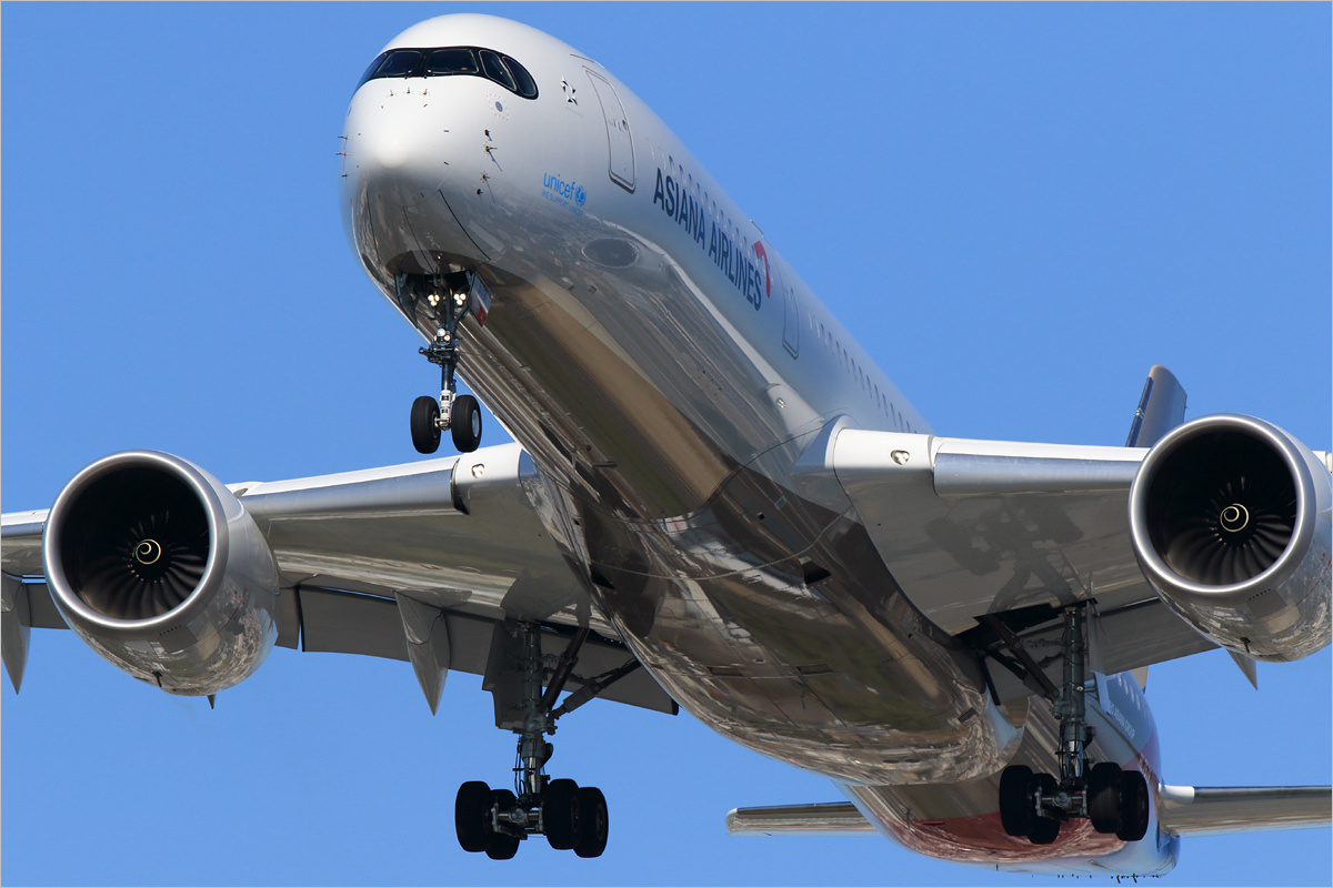 New Face - 福岡空港_c0308259_11371550.jpg