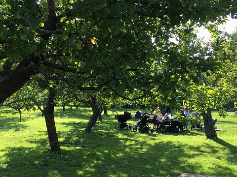 c0130060_20593198.gif