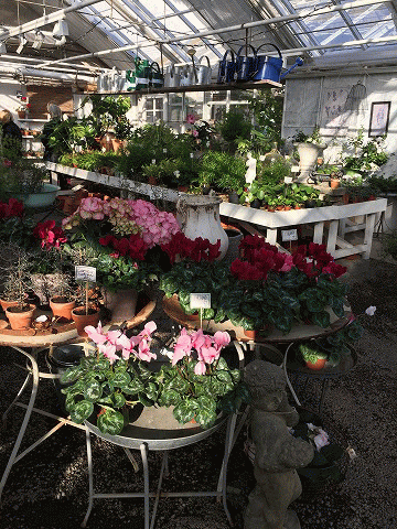 c0130060_21004404.gif