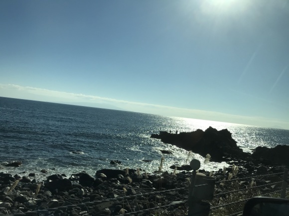 c0260264_20175478.jpg