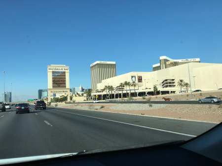 Las Vegas に到着しました ^^_c0284566_03323730.jpg