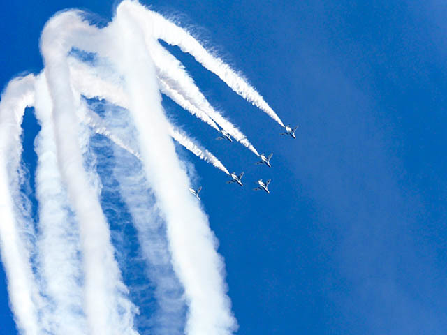 f0199866_06311675.jpg