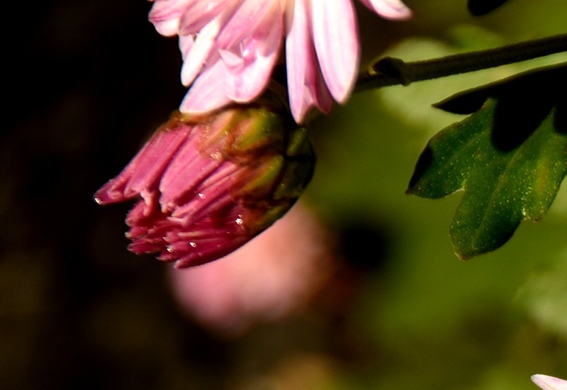 f0214467_10411087.jpg