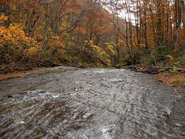 a0344771_18304102.jpg