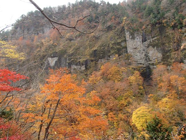 a0344771_18320382.jpg
