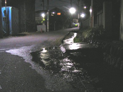 c0112172_2271624.jpg