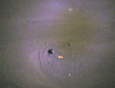 c0112172_2273398.jpg