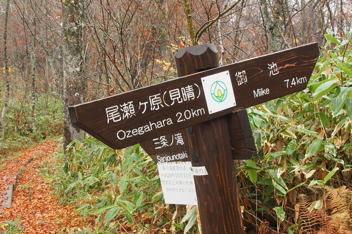 e0307372_17043535.jpg