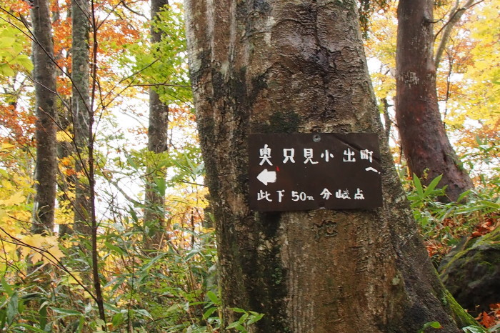 e0307372_18023303.jpg