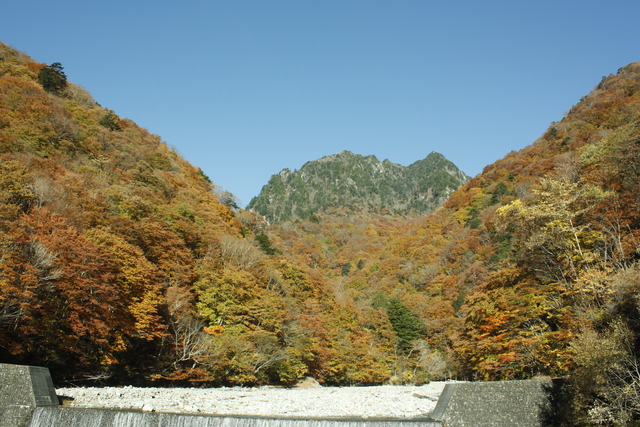 a0079474_2345455.jpg
