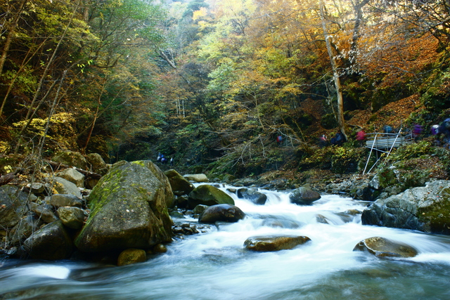 a0079474_23495758.jpg