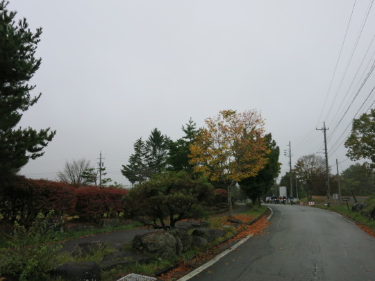 b0144174_17313377.jpg