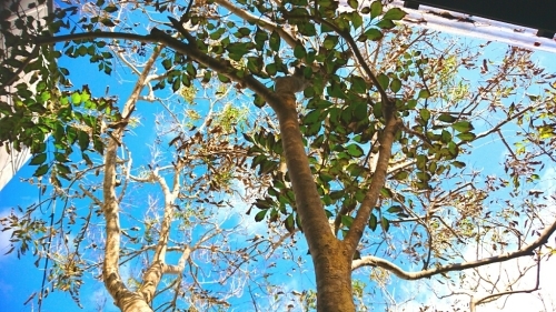 f0348976_12042952.jpg