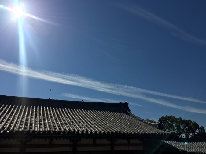 c0097677_16402043.jpg