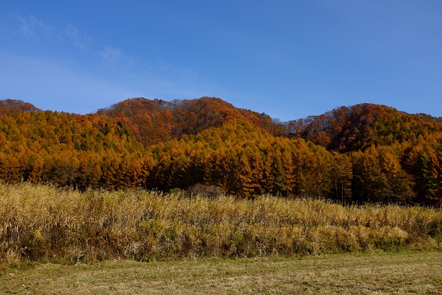 f0167379_11423269.jpg