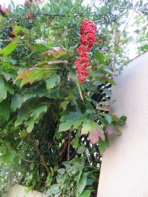 a0053480_14285216.jpg