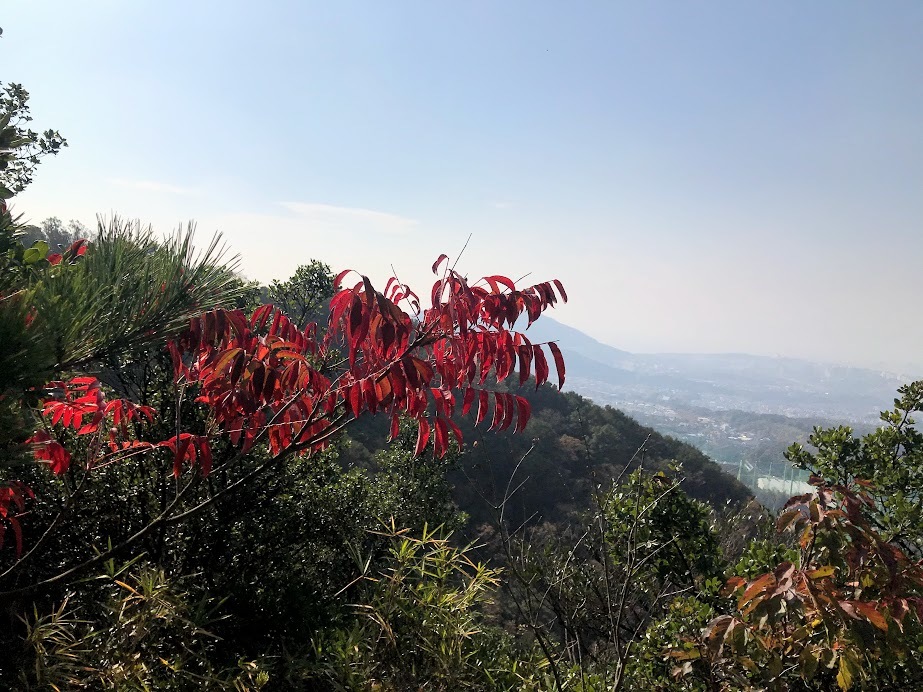 e0024081_13415046.jpg