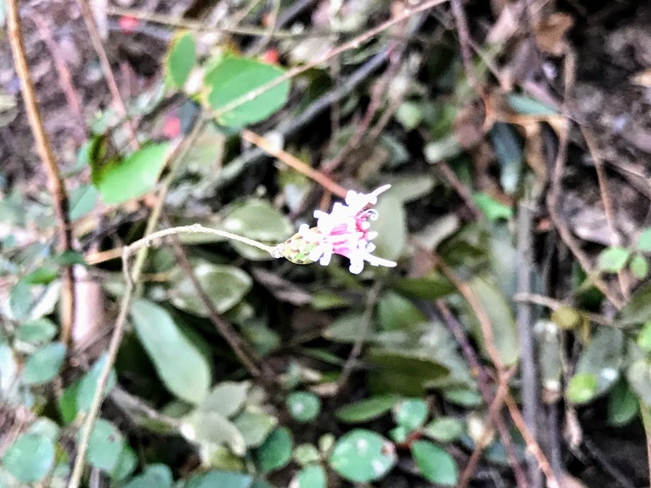 e0024081_13423572.jpg