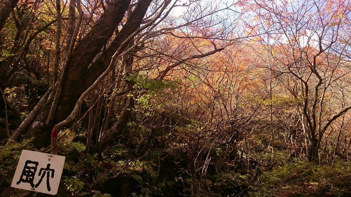 f0082181_13121614.jpg