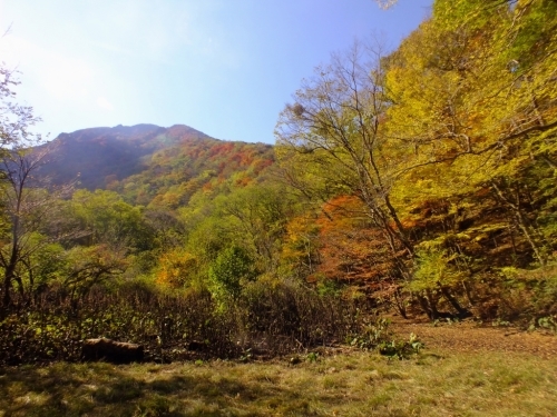 f0082181_13144878.jpg