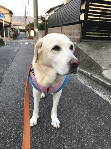 f0315081_21493574.jpeg
