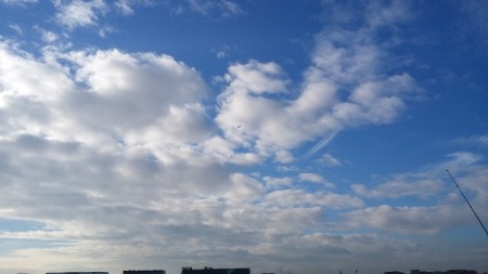 c0241485_22332096.jpg