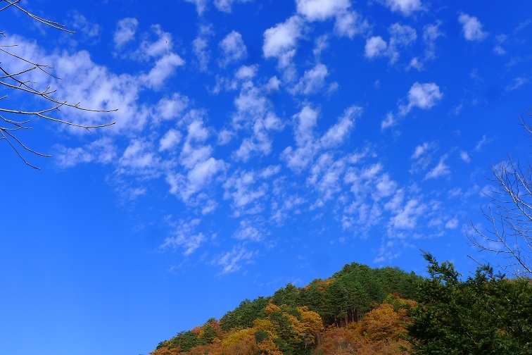 １１月３日「夕刊」　もう、良いお年を！_a0130586_20154121.jpg