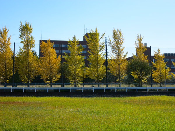 f0176688_16112163.jpg