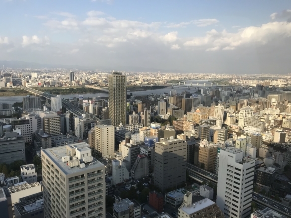 天海姐さん七変化 Part2♪_d0339889_12203867.jpg